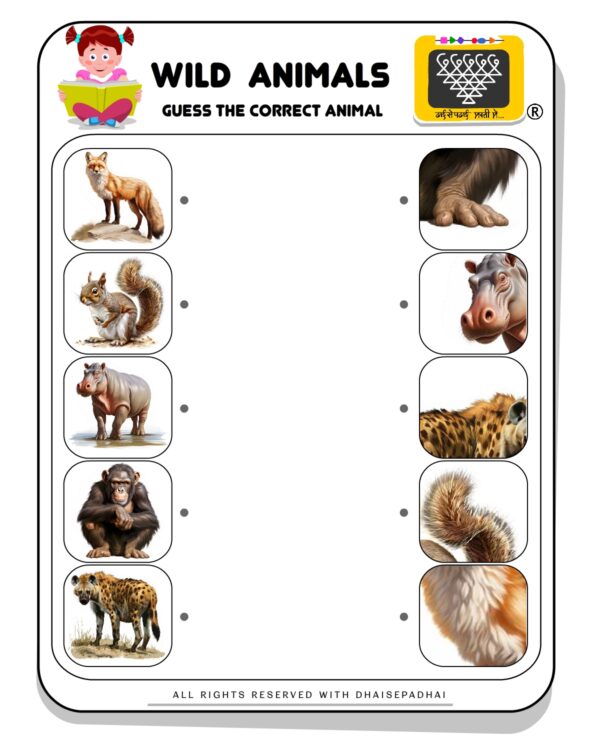 WILD ANIMALS CHARTS_print_0015